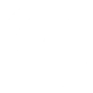 ai@2x
